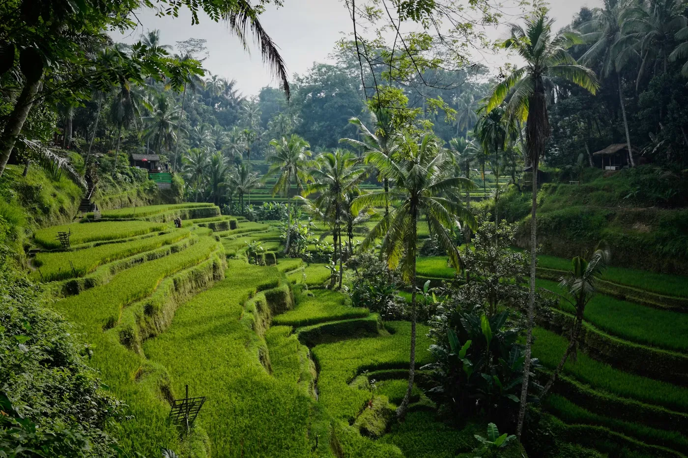 Bali Honeymoon — Temples & Volcanoes